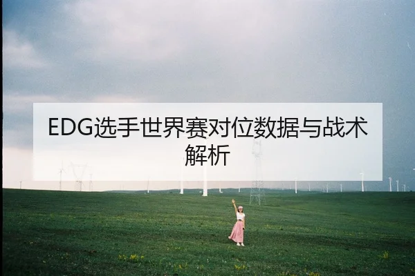 EDG选手世界赛对位数据与战术解析